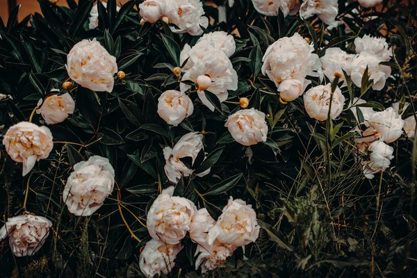 Budget Piscine : Avez-vous Prévu les Coûts du Permis de Construire ? Ne Plongez Pas Avant de Vérifier !