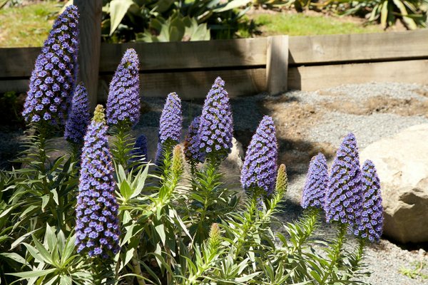 Astuces Essentielles : Préserver Vos Ustensiles avec un Usage Optimal de la Plaque de Cuisson